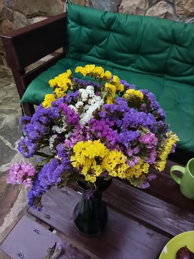 Котедж "Солард" 亚列姆切 外观 照片